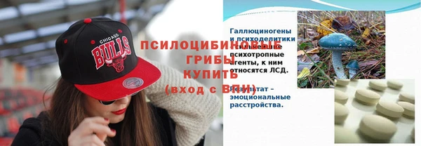 метадон Белокуриха