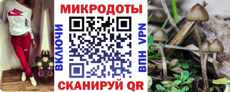 сколько стоит  Безенчук  Галлюциногенные грибы MAGIC MUSHROOMS 